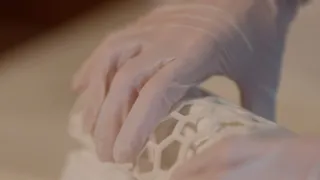 Ztracené svitky z Herculanea