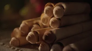 Ztracené svitky z Herculanea