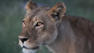 Rok na planetě Zemi (5/6)