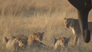 Rok na planetě Zemi (5/6)