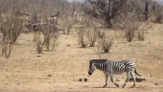 Rok na planetě Zemi (5/6)