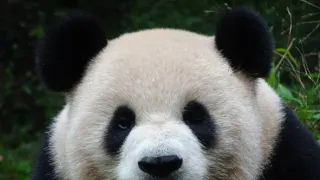 Rok na planetě Zemi (5/6)