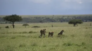 Rok na planetě Zemi (5/6)