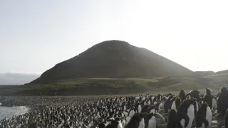 Rok na planetě Zemi (5/6)