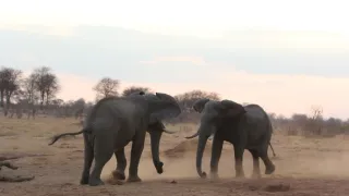 Rok na planetě Zemi (5/6)