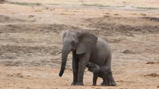 Rok na planetě Zemi (5/6)