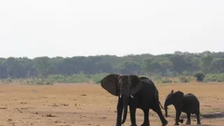 Rok na planetě Zemi (5/6)