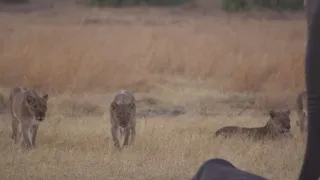 Rok na planetě Zemi (5/6)