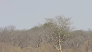 Rok na planetě Zemi (5/6)