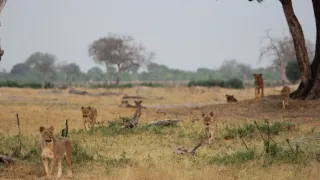 Rok na planetě Zemi (5/6)