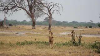 Rok na planetě Zemi (5/6)