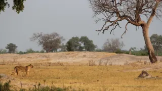 Rok na planetě Zemi (5/6)