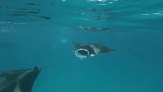 Rok na planetě Zemi (5/6)