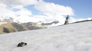 Rok na planetě Zemi (5/6)