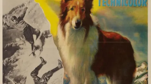 Lassie – Malované Kopce