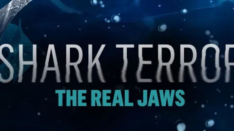 Skutečné Čelisti: Žraločí teror (1)