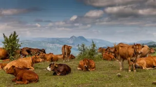 Na cestě po řecké Florině a Kastorii