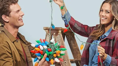 Romanca v Bell Harbor