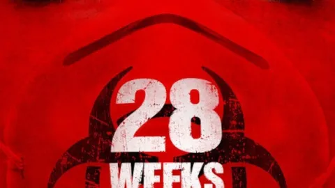 28 týdnů poté