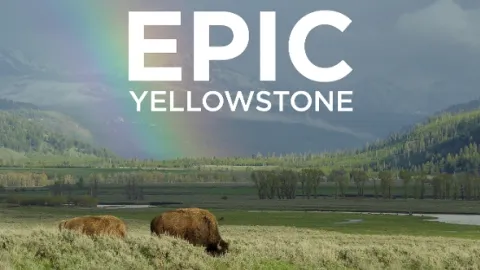 Zápisky z Yellowstonu (2)