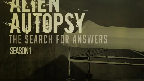 Pitva mimozemšťana: Otázky a odpovědi (1)