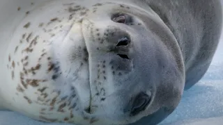 Patagonie - život na konci světa (5/6)