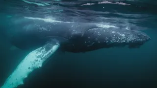 Patagonie - život na konci světa (5/6)