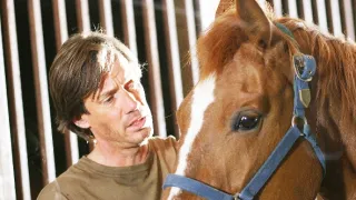 Kráčajúca skala 2: Odplata