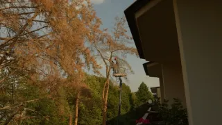 Zapíjení aneb když ve městě zaprší