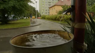 Zapíjení aneb když ve městě zaprší