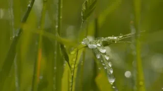 Zapíjení aneb když ve městě zaprší