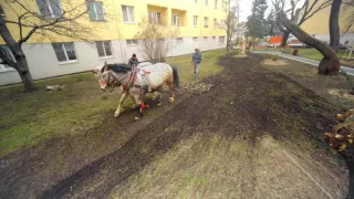 Zapíjení aneb když ve městě zaprší