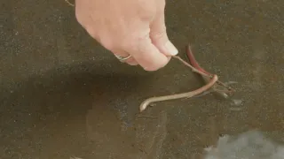 Zapíjení aneb když ve městě zaprší