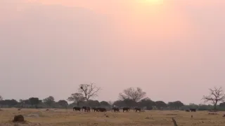 Rok na planetě Zemi (6/6)