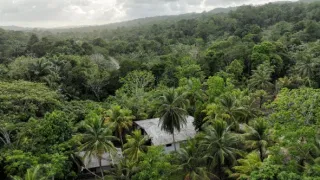 Rok na planetě Zemi (6/6)