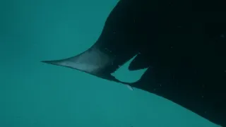 Rok na planetě Zemi (6/6)