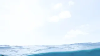 Rok na planetě Zemi (6/6)