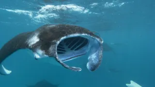 Rok na planetě Zemi (6/6)