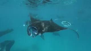 Rok na planetě Zemi (6/6)