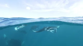 Rok na planetě Zemi (6/6)