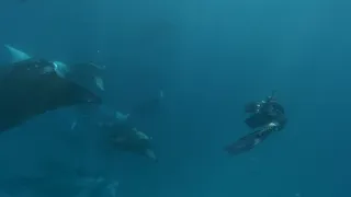 Rok na planetě Zemi (6/6)