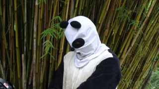 Rok na planetě Zemi (6/6)