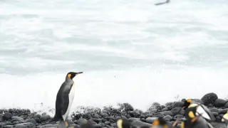 Rok na planetě Zemi (6/6)