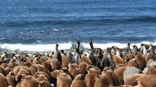 Rok na planetě Zemi (6/6)