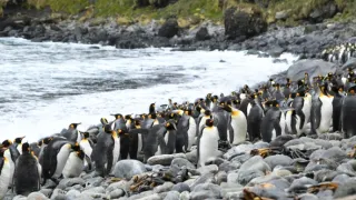 Rok na planetě Zemi (6/6)