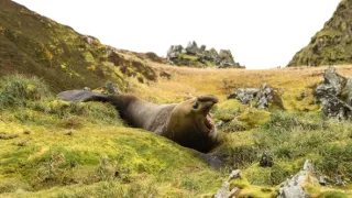 Rok na planetě Zemi (6/6)