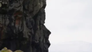 Rok na planetě Zemi (6/6)