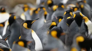 Rok na planetě Zemi (6/6)