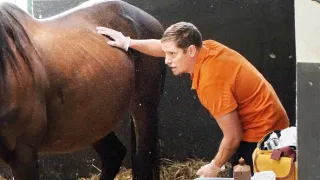 O lidech a koních (6)