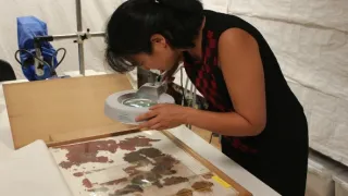 Wu Zetian, temná vládkyně Číny